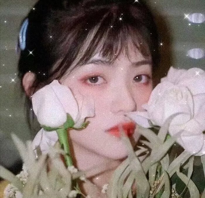 狐步舞